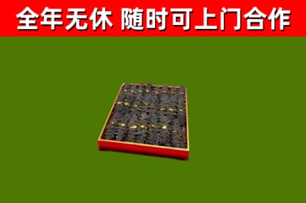 叶县回收海参